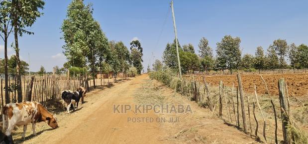 1⁄8 Plot for Sale in Illula Behind Centre in Eldoret - thumbnail 9