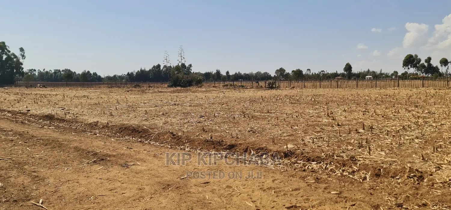 1⁄8 Plot for Sale in Illula Behind Centre in Eldoret