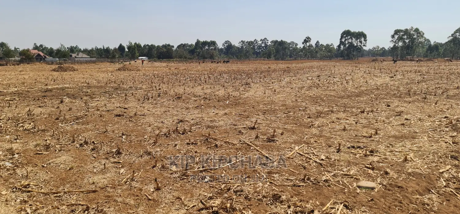 1⁄8 Plot for Sale in Illula Behind Centre in Eldoret