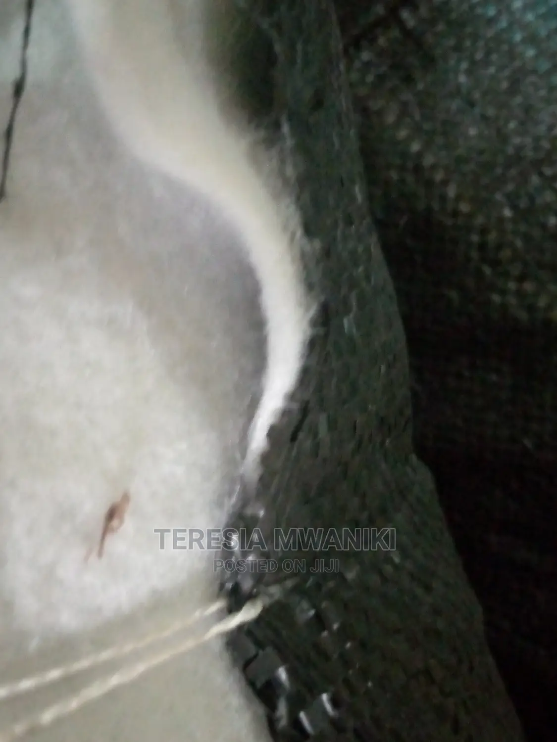 Non- Woven Geotextile Membrane