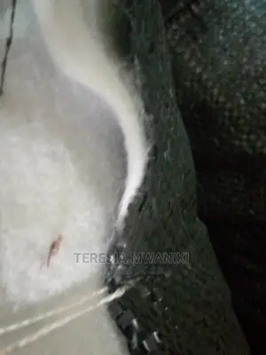 Non- Woven Geotextile Membrane