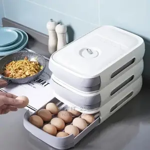 *Fridge Egg Storage Drawer Box*  Carries 20-22 Eggs
