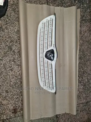 Toyota Allex Grill