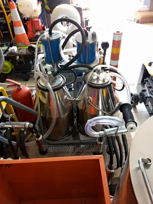 AICO Double Bucket Milking Machine