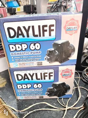 Dayliff Booster Pump
