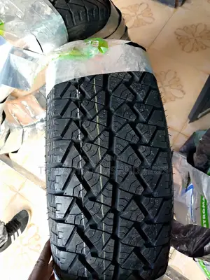 225/65r17 Petromax
