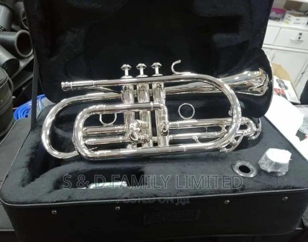 Cornet Wind Instrument - main view