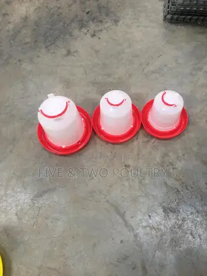 Drinkers 3litres