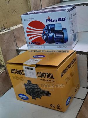 Pedrollo Pump + Control Switch - thumbnail 2