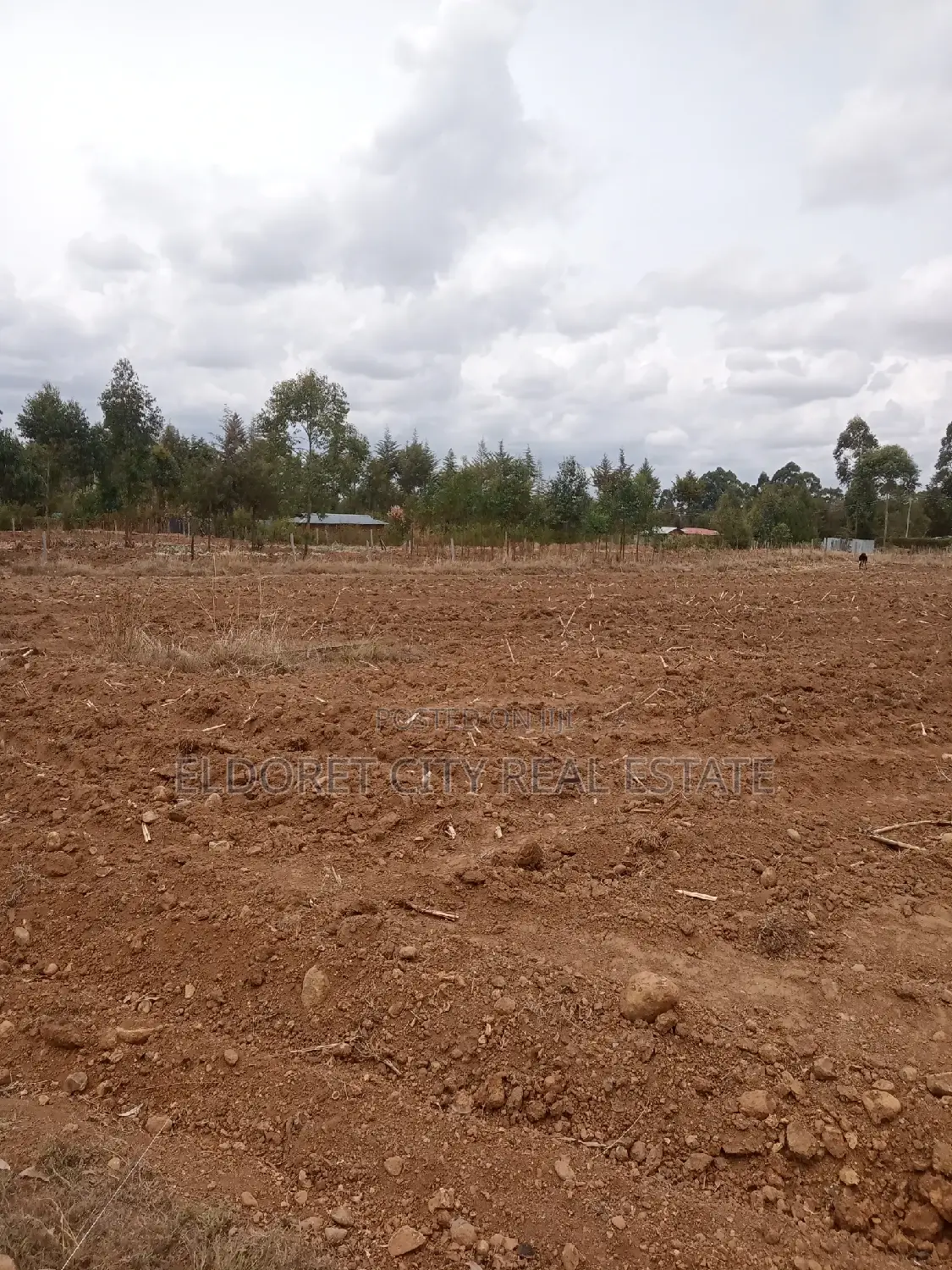 2 Acres Cheptiret With Its Own Title Arable