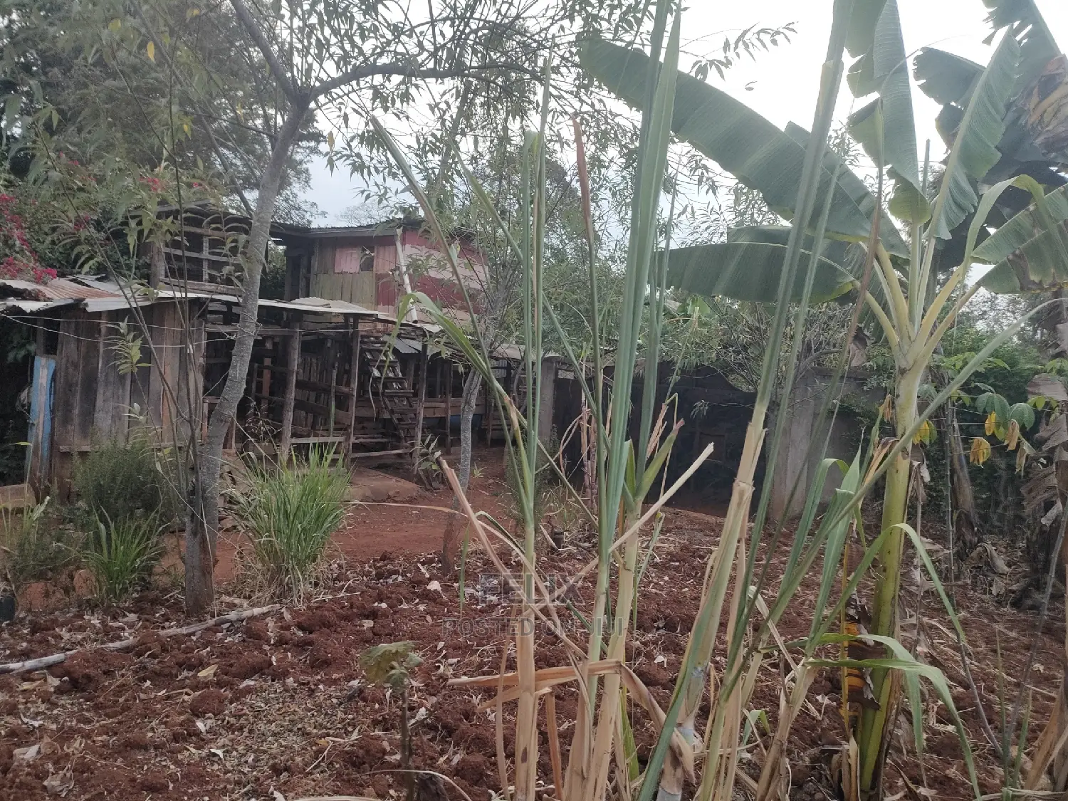 4 Bedroomed House Karatina / Behind Karatina Stadium