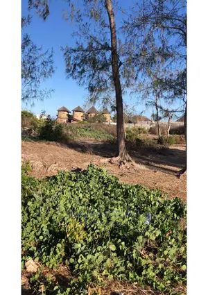 A Half an Acre Piece of Land in Watamu