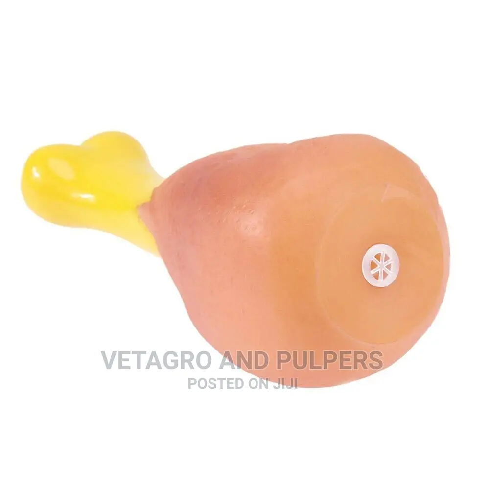 SQUEAKY Dog Toy Chicken Bone Shaped Toys Strong Silicone