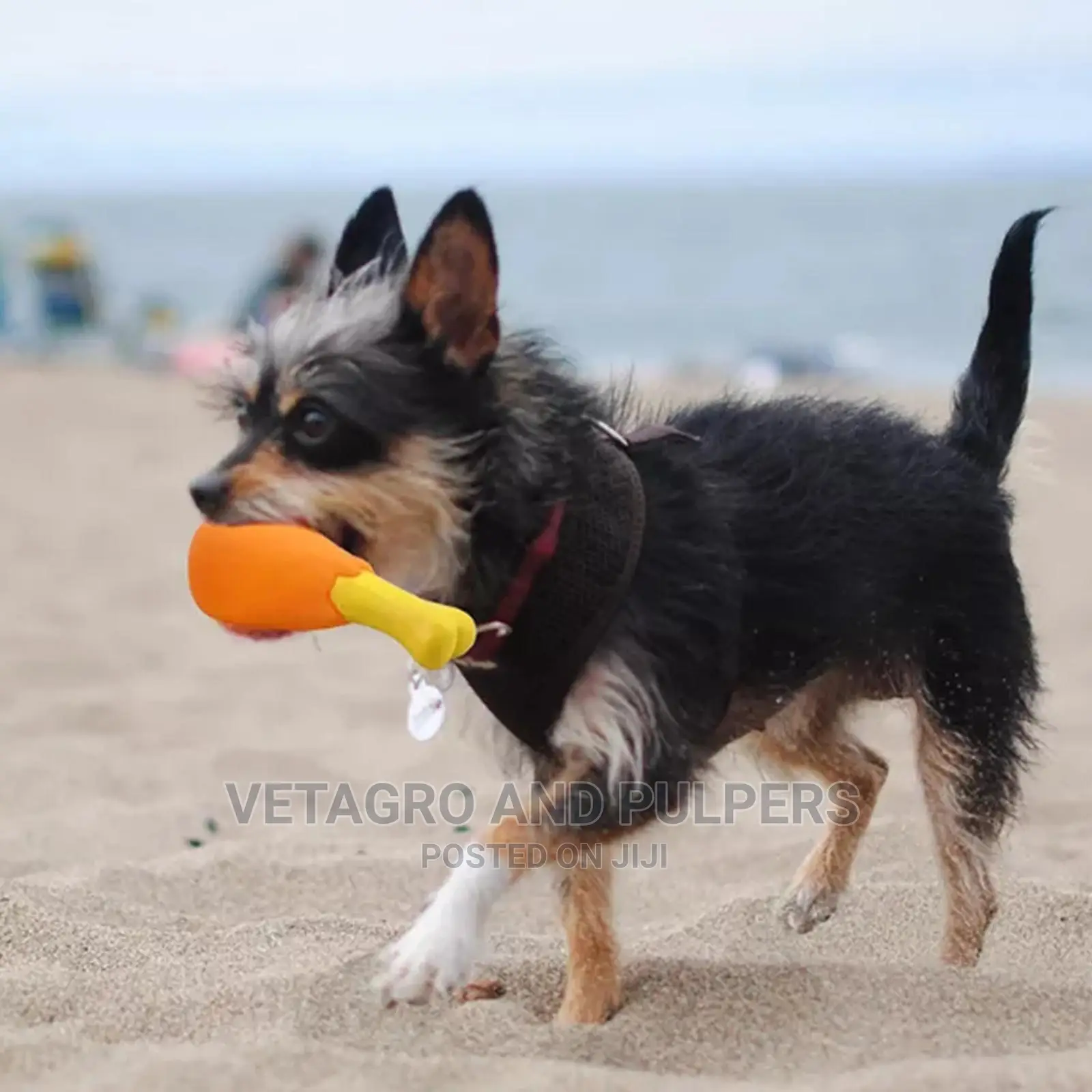 SQUEAKY Dog Toy Chicken Bone Shaped Toys Strong Silicone