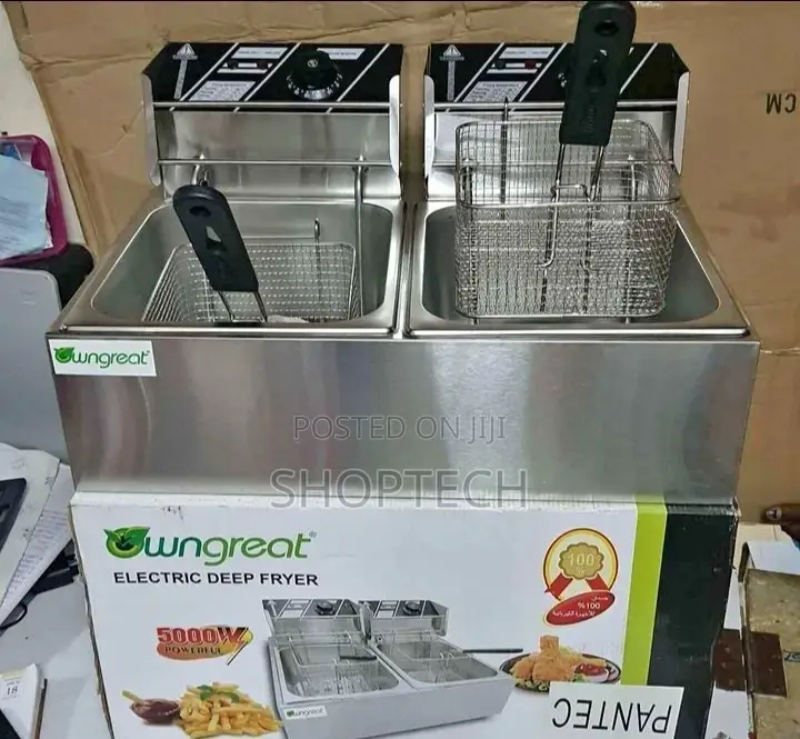 Owngreat 12litres Deep Fryer