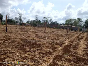 50×100 Plots for Sale in Kagio Town.