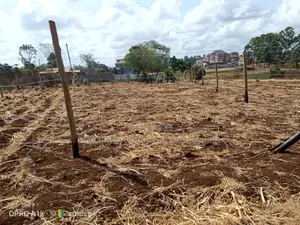 50×100 Plots for Sale in Kagio Town.