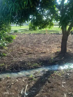 1acre for Sale in Kandongu, Mwea, Kirinyaga County.