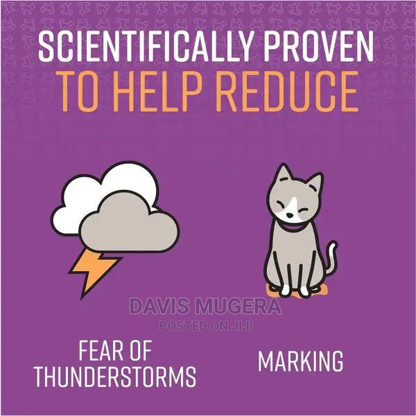 Good Behavior Calming Collar for Cats - thumbnail 3