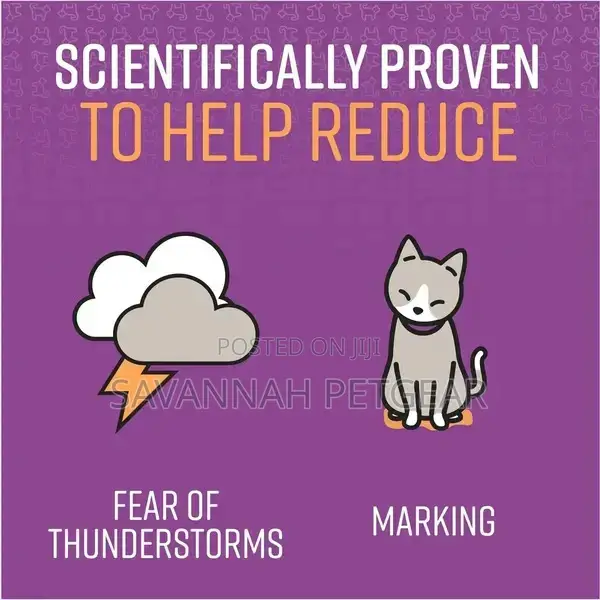 Good Behavior Calming Collar for Cats