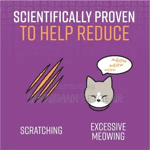 Good Behavior Calming Collar for Cats