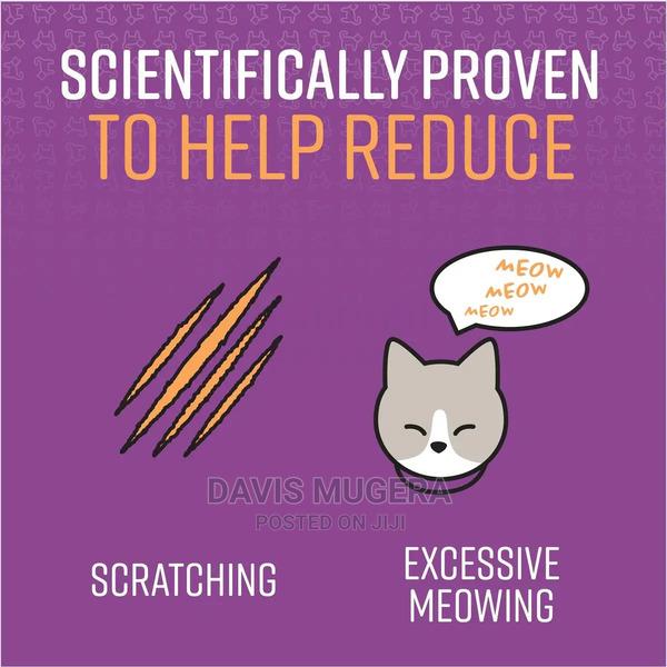 Good Behavior Calming Collar for Cats - thumbnail 4