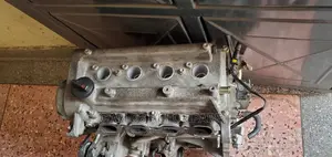 Slim Engine 1nz Cable