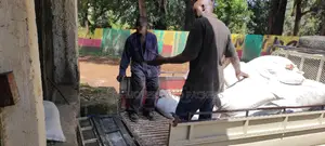 Movers in Zimmerman, Kahawa West and Githurai 44 45.