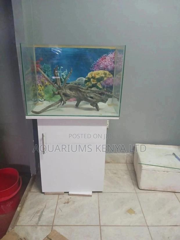Wine Glass Aquarium With Bottom Cabinet