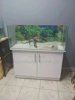 4ft Medium Size Aquarium , With Cabinet