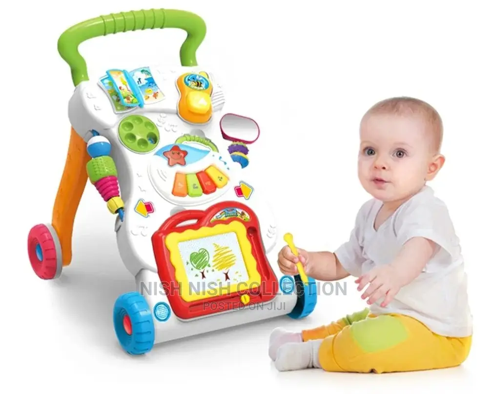 2 in 1 Multifunctional Baby Push Walker