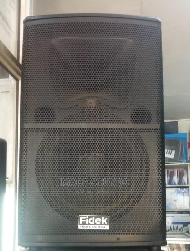Speaker Fidek Big Midrange 515