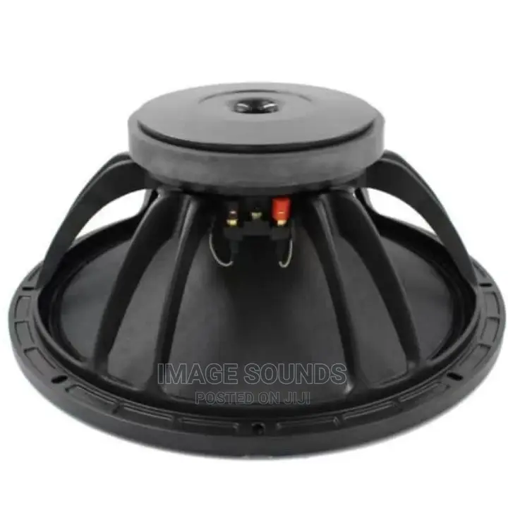 Naked Speaker Derwel 15inch, Az75