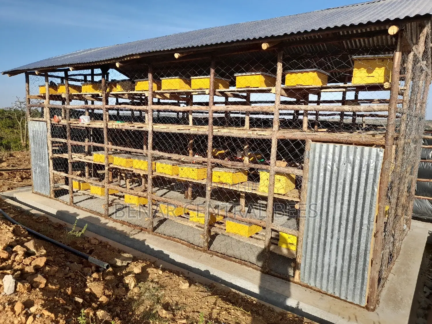 Modern Apiary/Apiaries
