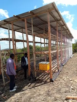 Modern Apiary/Apiaries
