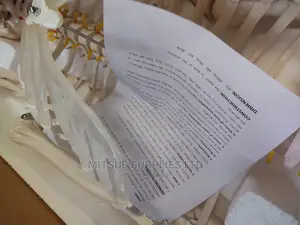 Human Skeleton With Stand Full Size 170cm