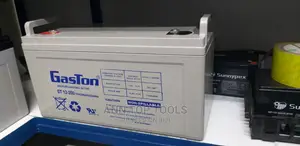 Gaston 200AH Maintenance Free Battery