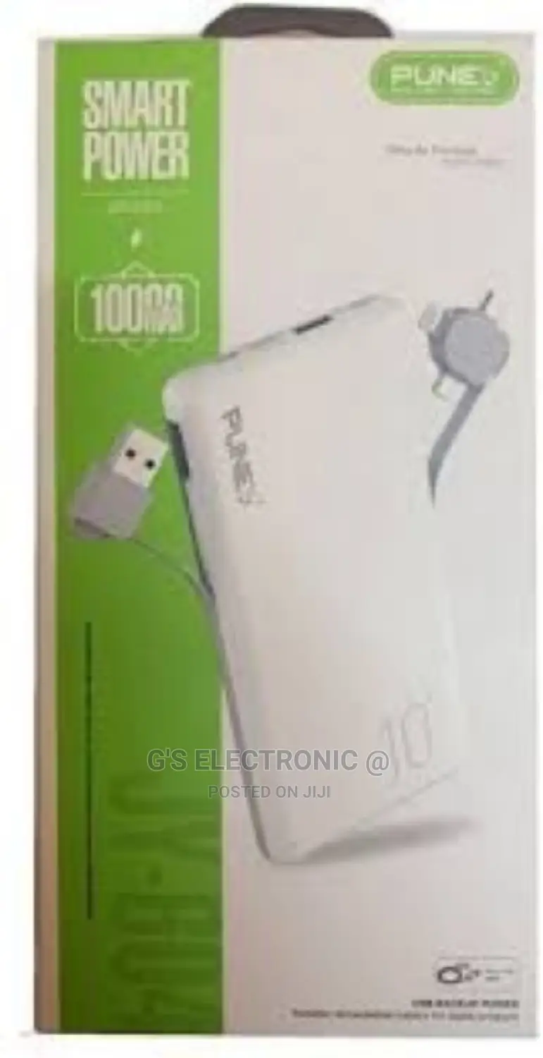 Punex Power Bank