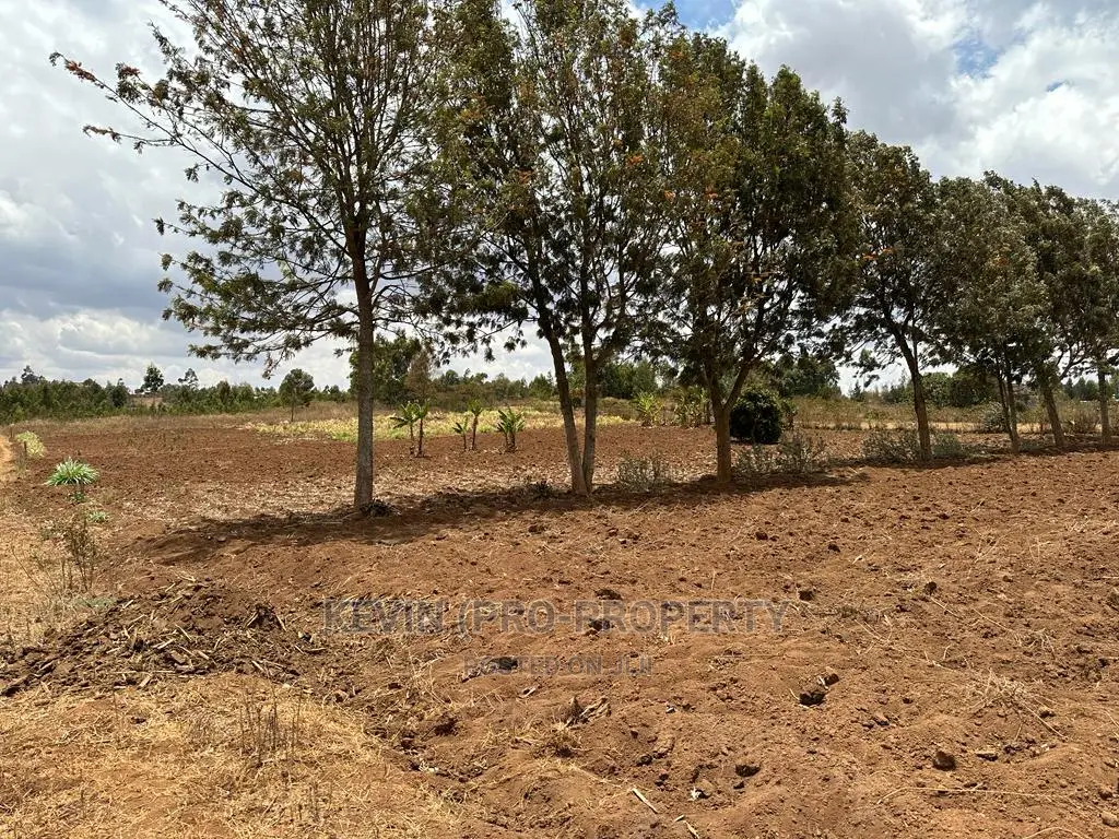 Residential Half Acre Land for Sale in Kikuyu, Kamangu.