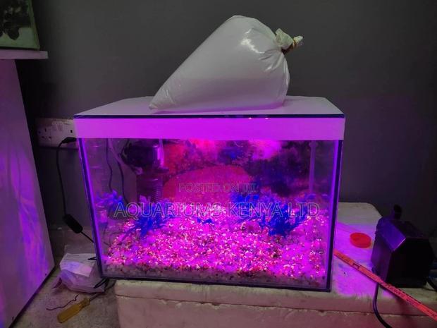 Pocket Friendly Aquariums , FISH Aquarium - main view