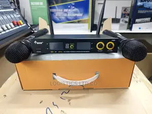 BNK X35 Uhf 2 Wireless Microphone