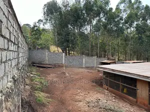 Prime Plots For Sale In Kikuyu, Sigona.