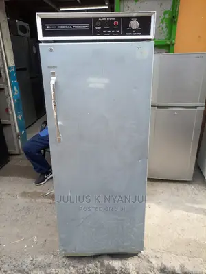 Upright Freezer 400l