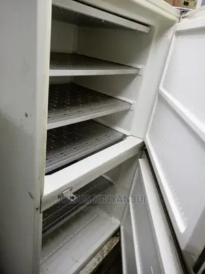 Double Door Freezer