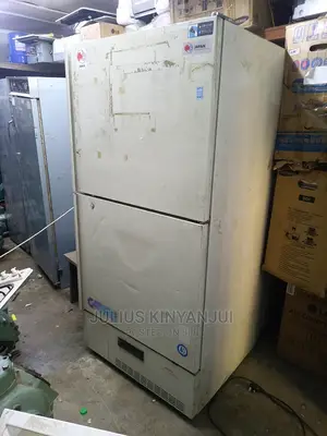 Double Door Freezer