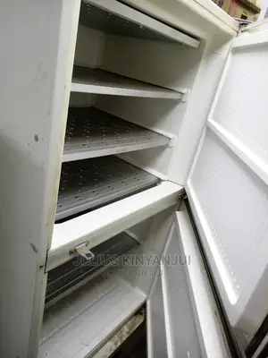 Double Door Freezer
