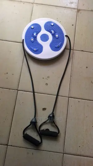Waist Twisting Disk