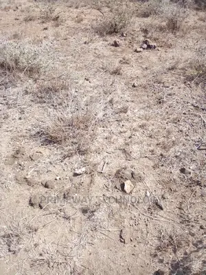 Half Acre for Sale in Kitengela