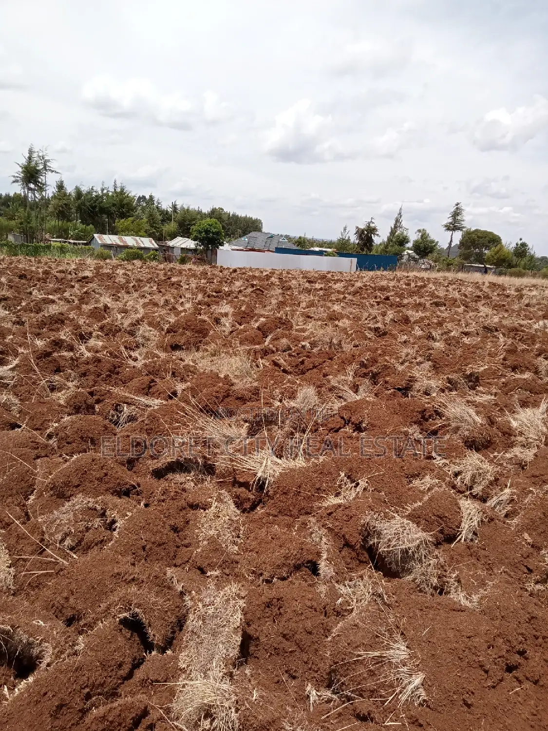1/2 Acre Kamariny Iten With Title