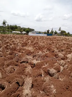 1/2 Acre Kamariny Iten With Title